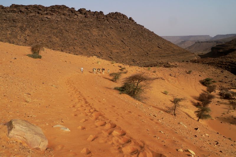 Mauritania